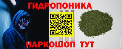 шишки Азнакаево